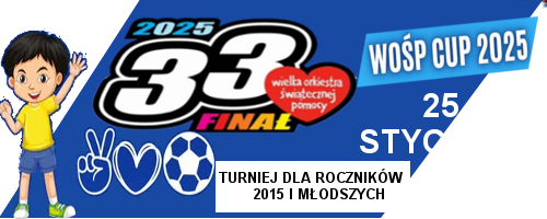 wośp cup_mini banner